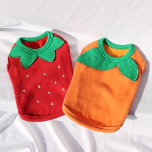 [C02B]딸기오렌지티셔츠